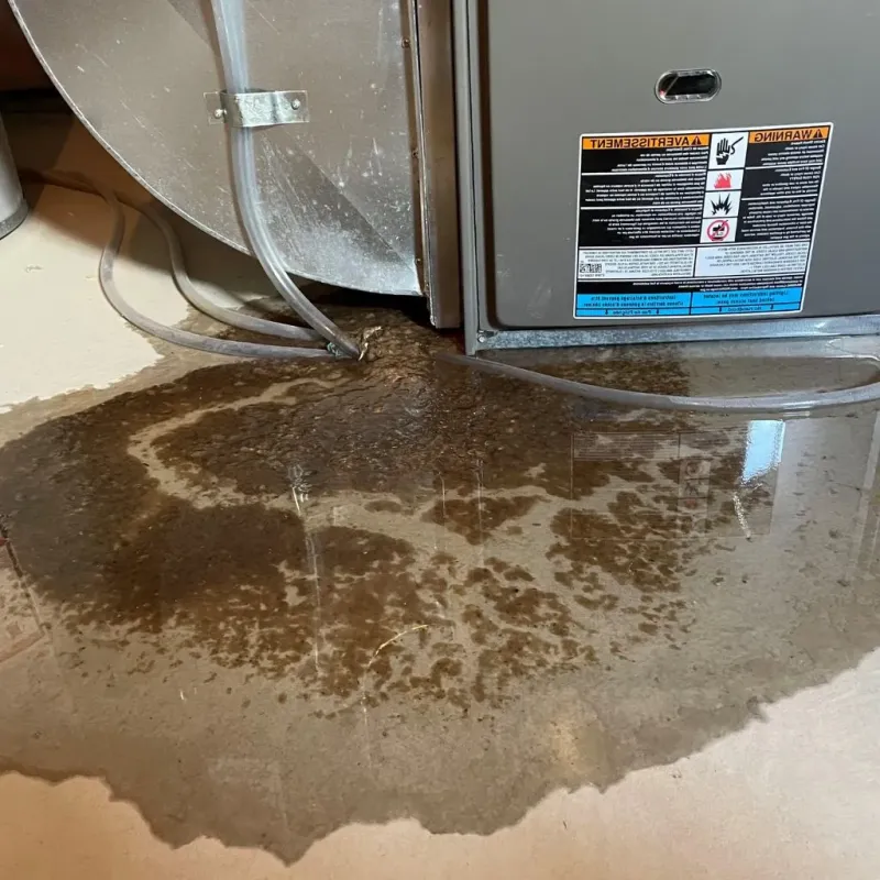 Pipe Burst and Leak Restoration in Mount Vernon, KY
